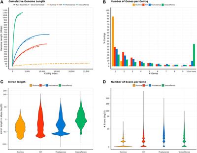 The draft genome of the microscopic Nemertoderma westbladi sheds light on the evolution of Acoelomorpha genomes